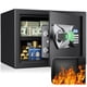 thumbnail image 1 of Biometric Safe BlackSmith Home 1.0 Cub - Huella digital negra, 1 of 8