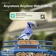 thumbnail image 2 of Comedero para pájaros con cámara, cámara inteligente alimentada por energía solar, WiFi 2K, 2 of 7