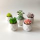 thumbnail image 2 of Planta Artificial Suculenta 9 cm Producto Surtido, 2 of 3