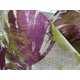 thumbnail image 3 of Cojín decorativo Plutus Brands Plutus Tudor Berry Crush 66x66 cm, 3 of 5