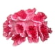 thumbnail image 5 of Fondo De Accesorios De Foto De Coral Artificial Mini Para Accesorios De Oficina De Acuario, 5 of 5