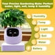thumbnail image 5 of Maceta inteligente PLANTSIO con pantalla de autoriego de 80 ml, 5 of 9