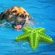 thumbnail image 4 of Pet Supplies Pet Dog Starfish Molar Stick Squeaky Toothbrush Dog Stone Removal Toothbrush Tough Dog Toys For Aggressive Chewers, 4 of 5