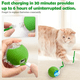 thumbnail image 5 of Pelota Giratoria Eléctrica Usb Recargablepara Perros Y Gatos, 5 of 10
