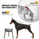 thumbnail image 2 of Soporte para cuencos de perro SHAINFUN gris, ancho ajustable, 28 cm (para perros grandes), 2 of 6
