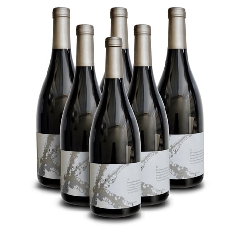 Korta - Vino Icono K Premium, 6 Unidades