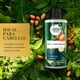 thumbnail image 3 of Crema para Peinar Herbal Essences Aceite de Argán de Marruecos Y Aloe, 300 ml, 3 of 6