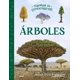 thumbnail image 1 of Árboles. Tesoros de conocimiento, 1 of 2