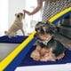 thumbnail image 5 of Alfombra Muddy Mat azul marino 61 × 91 cm absorbente de agua, 5 of 6