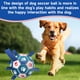 thumbnail image 3 of Pelota De Fútbol Para Perros Con Correas Para Perros Medianos Y Grandes, 3 of 8