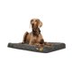 thumbnail image 3 of Colchón Mascota Plus M, 3 of 7