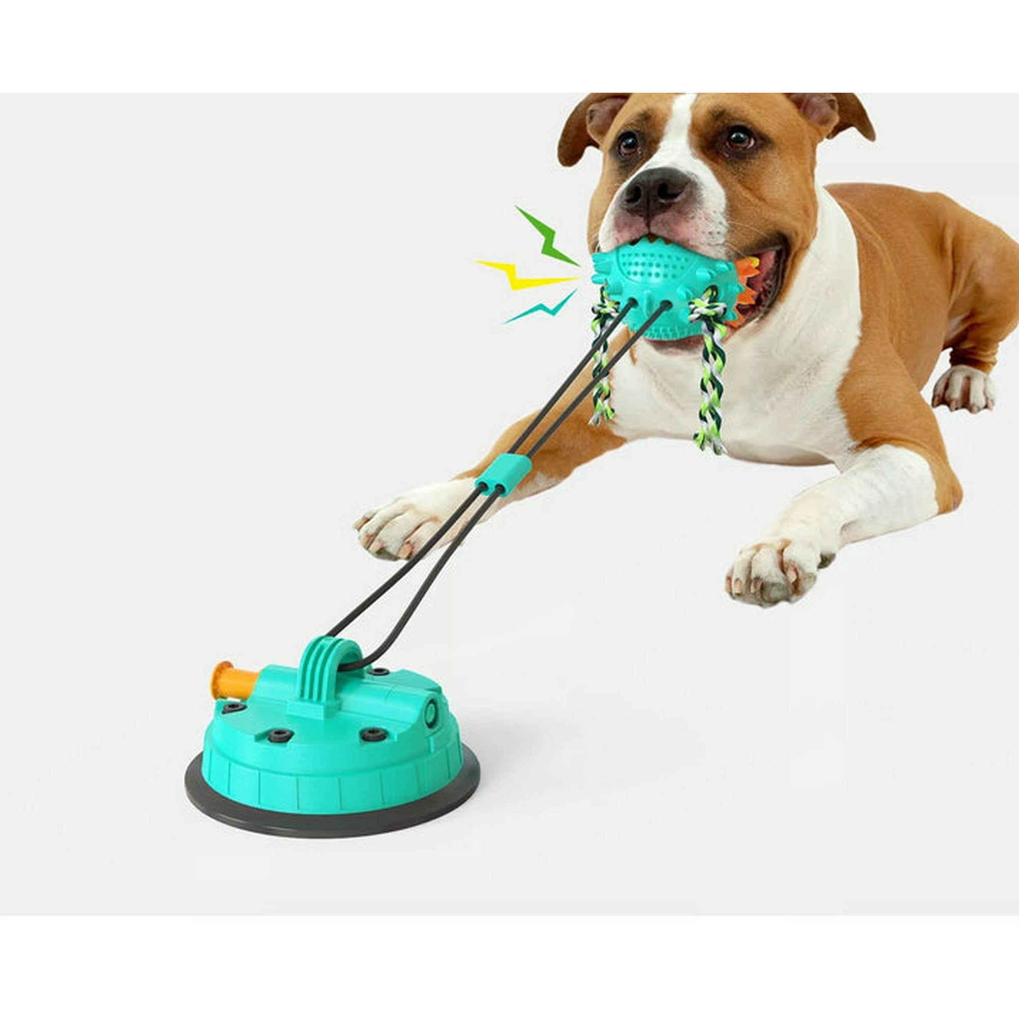 Color Lab - Jugete Con Anclaje Para Perros