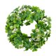 thumbnail image 1 of St Patricks Day Shamrock Wrath Creative Para La Sala De Estar De Escritorio Al Aire Libre, 1 of 5