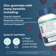 thumbnail image 2 of Suplementos de zinc MaryRuth's Zinc Gummies 30 porciones, 2 of 3