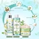 thumbnail image 3 of Set Cuidado De Pies Tea Tree Oil 4 Piezas, 3 of 3