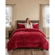 thumbnail image 4 of Cobertor Invierno 250x270 cm Plush y Chiporro King, 4 of 5