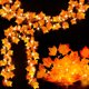 thumbnail image 1 of Guirnalda de otoño Luditek, 2 unidades, 500 cm, 40 LED, a batería, 1 of 3