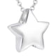 thumbnail image 5 of Collar De Urna De Estrella Pequeña, Colgante Conmemorativo, Soporte De Urna Para Perfume Para Mascotas, Marido Argent, 5 of 5