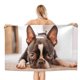 thumbnail image 1 of Boston Terrier Toalla de playa de secado rápido con diseño temático, regalo para mujeres y niñas, ideal para cumpleaños, fans, amantes de la música, uso en la playa o al aire libre, 78 × 150 cm, 1 of 6