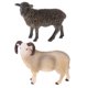 thumbnail image 3 of Figuras De Animales De Plástico Realistas Modelo De Simulación Bighorn Sheep + Black Goat, 3 of 5