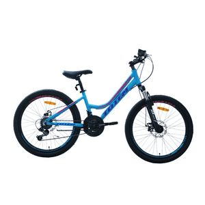 Bicicleta Totem Mtb Aro 24 Modelo Sitara Celeste