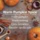 thumbnail image 4 of Ambientador Little Trees Pumpkin Spice - Pack de 24, 4 of 9