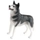 thumbnail image 4 of Figura De Husky Artesanal, Figura De Perro Realista, Juguetes Para Regalo, Recuerdos De Fiesta Para Ni?os Peque?os, 4 of 5