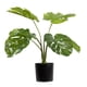 thumbnail image 1 of Planta Artificial Monstera 6 Hojas 50 Cm, 1 of 3