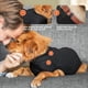 thumbnail image 4 of Traje de recuperación adecuado para cirugía de perros, color negro, talla grande, 4 of 9