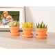 thumbnail image 2 of Mini macetas Juvale de terracota de 5 cm con platillos, paquete de 16 suculentas, 2 of 9