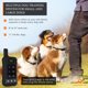 thumbnail image 3 of Sistema inalámbrico de vallas para perros Pet Control HQ con control remoto y 1 collar, 3 of 9