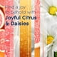 thumbnail image 3 of Recambio para ambientador Glade Plugins Joyful Citrus, 5 x 20 ml, 3 of 8