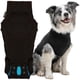 thumbnail image 1 of Traje de recuperación Suitical para cirugía de perros, negro, mediano, 1 of 8