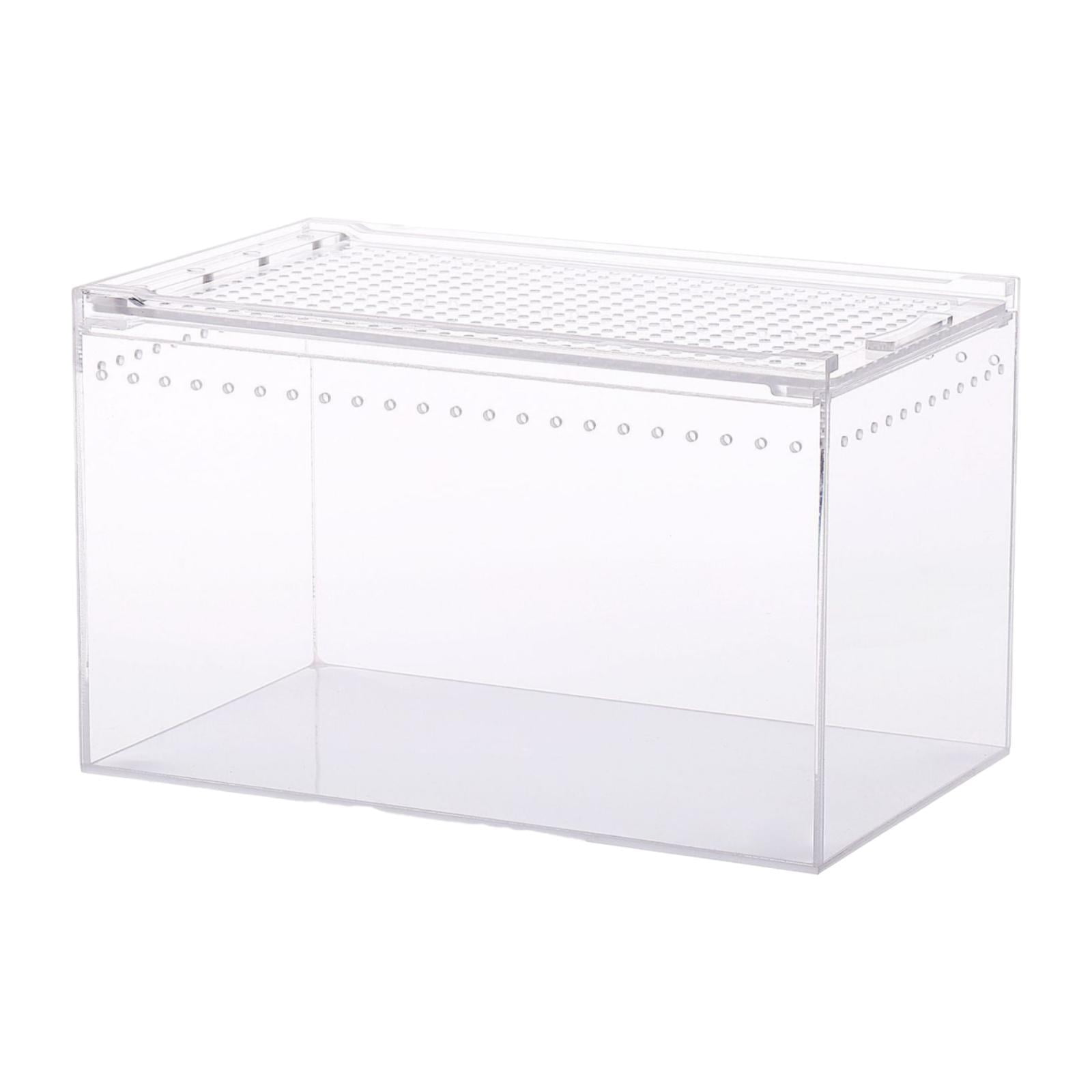 Terrario Para Reptiles, Caja De Cría Para Geckos, Cangrejos Ermitaños Y Camaleones.