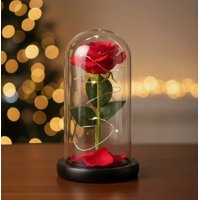 Riqui - Rosa Eterna Con Cúpula Roja