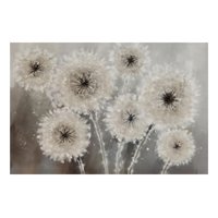 Genérico - Cuadro Decorativo Pared Flores Diente De León Arte Hogar Jhn