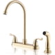 thumbnail image 1 of Llave Cocina FROPO Oro 8 Pulgadas 2 Manillas con Pulverizador, 1 of 3