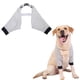 thumbnail image 1 of Manga de recuperación para patas delanteras de perro, suave y acolchada, codera para perro, protector para heridas en las patas de mascotas, 1 of 8