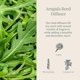 thumbnail image 2 of Difusor de Varillas Archipelago Botanicals 235 ml Rúcula, 2 of 7