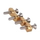 thumbnail image 1 of Tuercas en T Latón M6 con Tornillo, 1 of 3