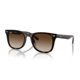 thumbnail image 1 of Anteojos de Sol Ray-Ban RB4420 Havana Marrón Degradado 65 mm, 1 of 5