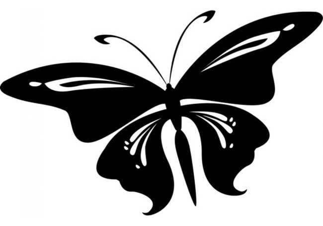 Rienda Libre Graphics - Decomural Simple Butterfly Butterflies Ws-17972