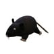 thumbnail image 1 of Juguete De Peluche Para Ratones, Muñeco De Peluche Interactivo Para Regalo, Colección Para Niños, Negro, 1 of 5
