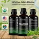 thumbnail image 2 of Aceite esencial Fiora Naturals Tea Tree 30 ml 100% orgánico, 2 of 3
