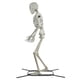 thumbnail image 4 of Figura esqueleto 3m con soporte metálico, 4 of 5