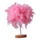 thumbnail image 3 of Lámpara De Mesa De Plumas Moderna, Luz De Escritorio, Romántica Para Boda, Dormitorio, Sala De Estudio, Rosa, 3 of 5