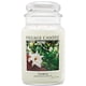 thumbnail image 1 of Vela perfumada Village Candle Gardenia, tarro de boticario de 625 ml, 1 of 5