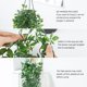 thumbnail image 3 of Plantas colgantes artificiales Whonline para decoración interior y exterior, 3 of 7