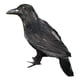 thumbnail image 3 of Artisticial Realistic Woodland Bird para Garden Weding Decoración del hogar Style01, 3 of 5