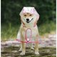 thumbnail image 1 of Xiao Hua Impermeable, a Prueba de Viento, Impermeable con Capucha para Perro Adecuado para Perros Pequeños, Medianos y Grandes, Impermeable Transparente de Plástico a la Moda para Mascota, Tamaño, 1 of 4